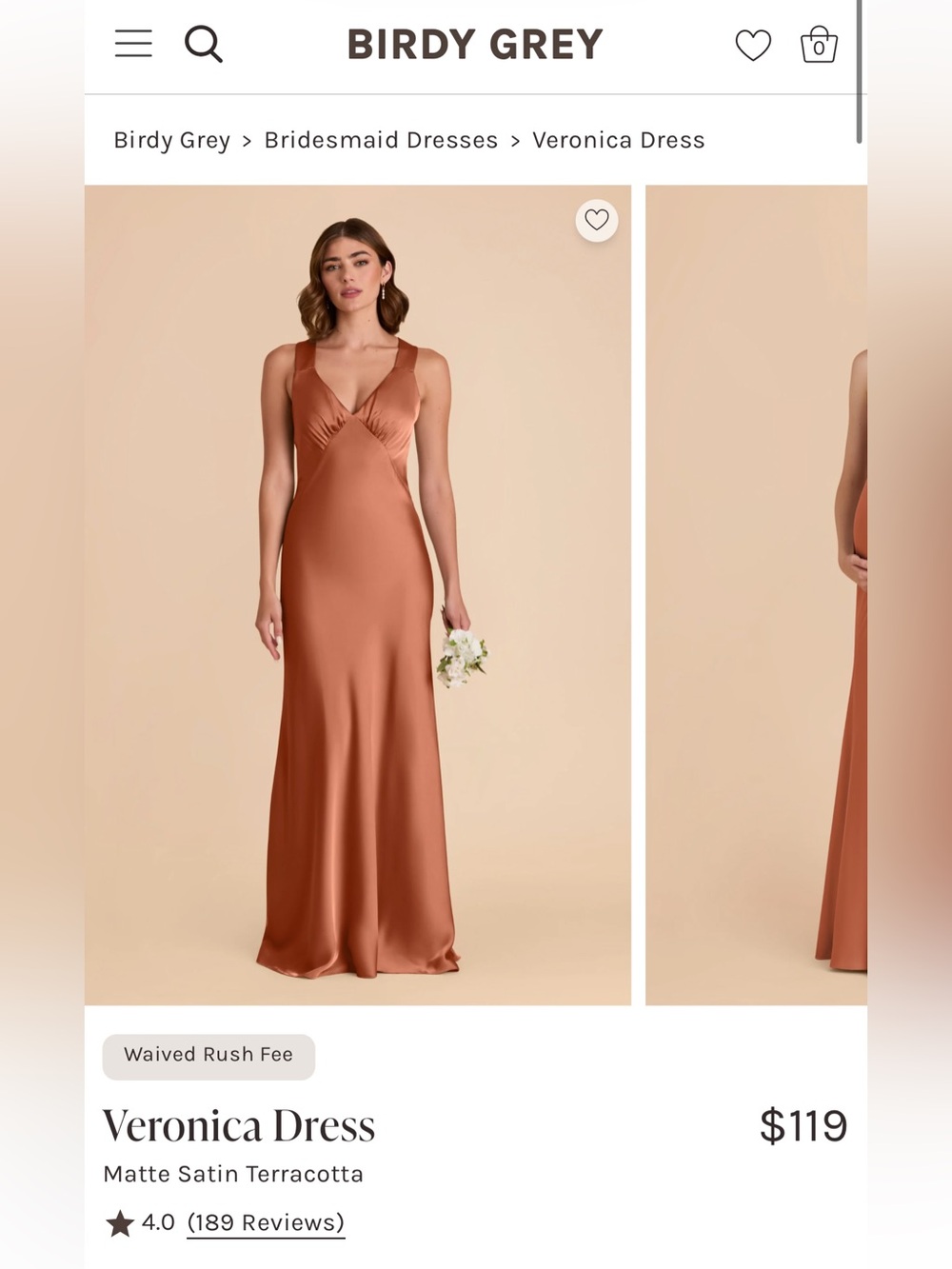 Birdy Grey Matte Satin Slip Dress - Terracotta
